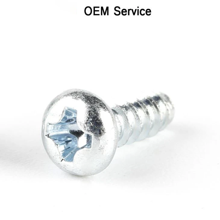 Stainless Steel Self Tapping Screw
